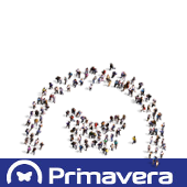 Primavera Software